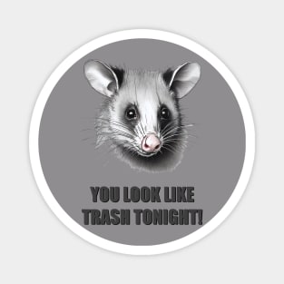 Opposum Love Trash more than anything possum love Magnet